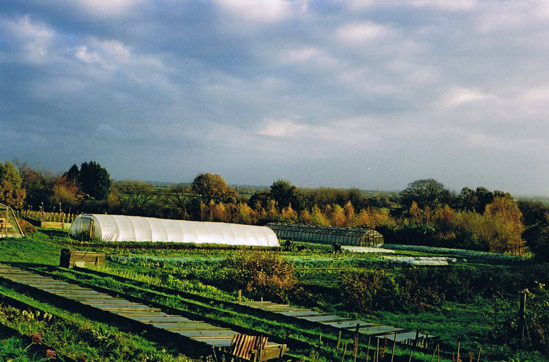 Whole garden viewed from northwest