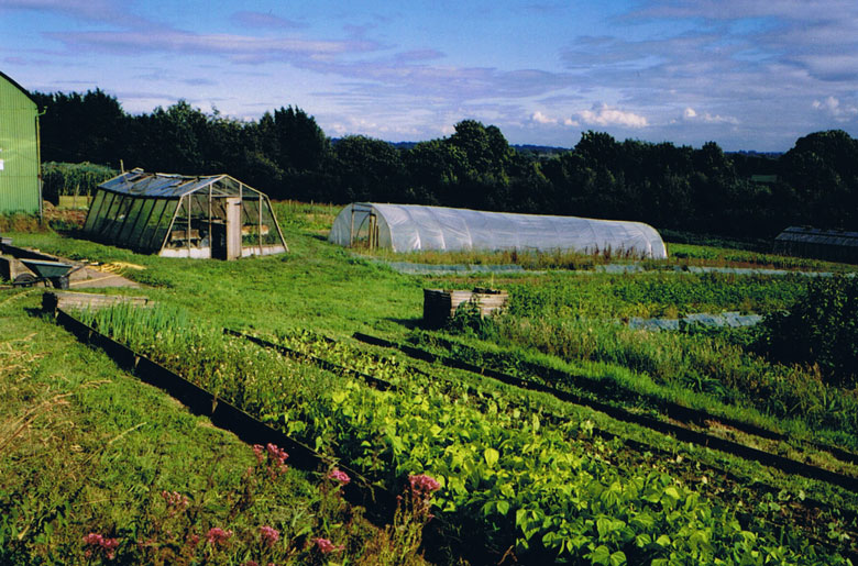 Picture of the garden from the northwest